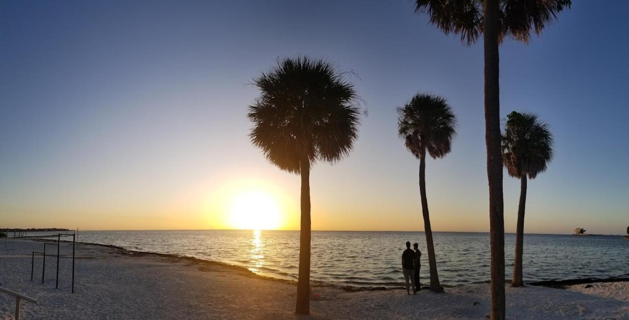 Elegant Studio Apartment In Downtown St Pete - Great Community Events! St. Petersburg Exteriér fotografie